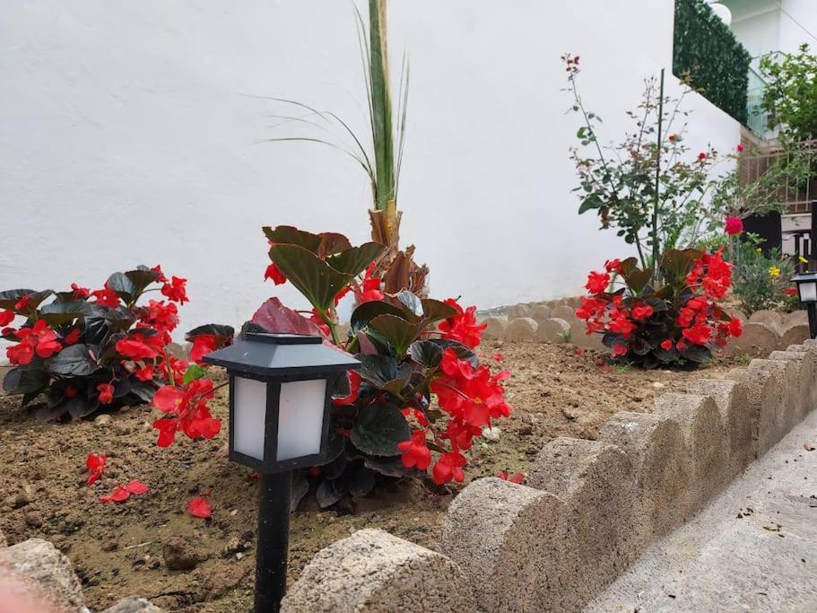 Villa Aggeliki's Place Detached With Yard/parking *