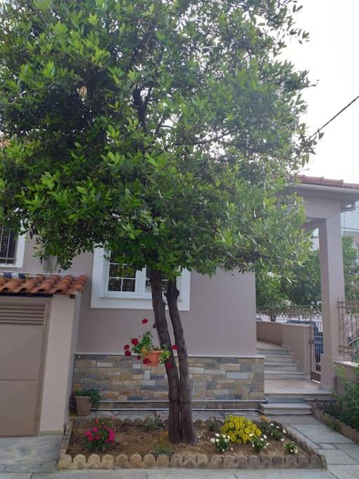 Aggeliki's Place Detached With Yard/parking Volos